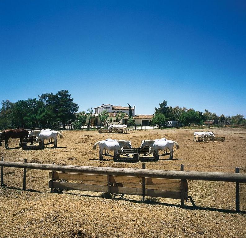 Auberge De La Fadaise Saintes-Maries-de-la-Mer Esterno foto